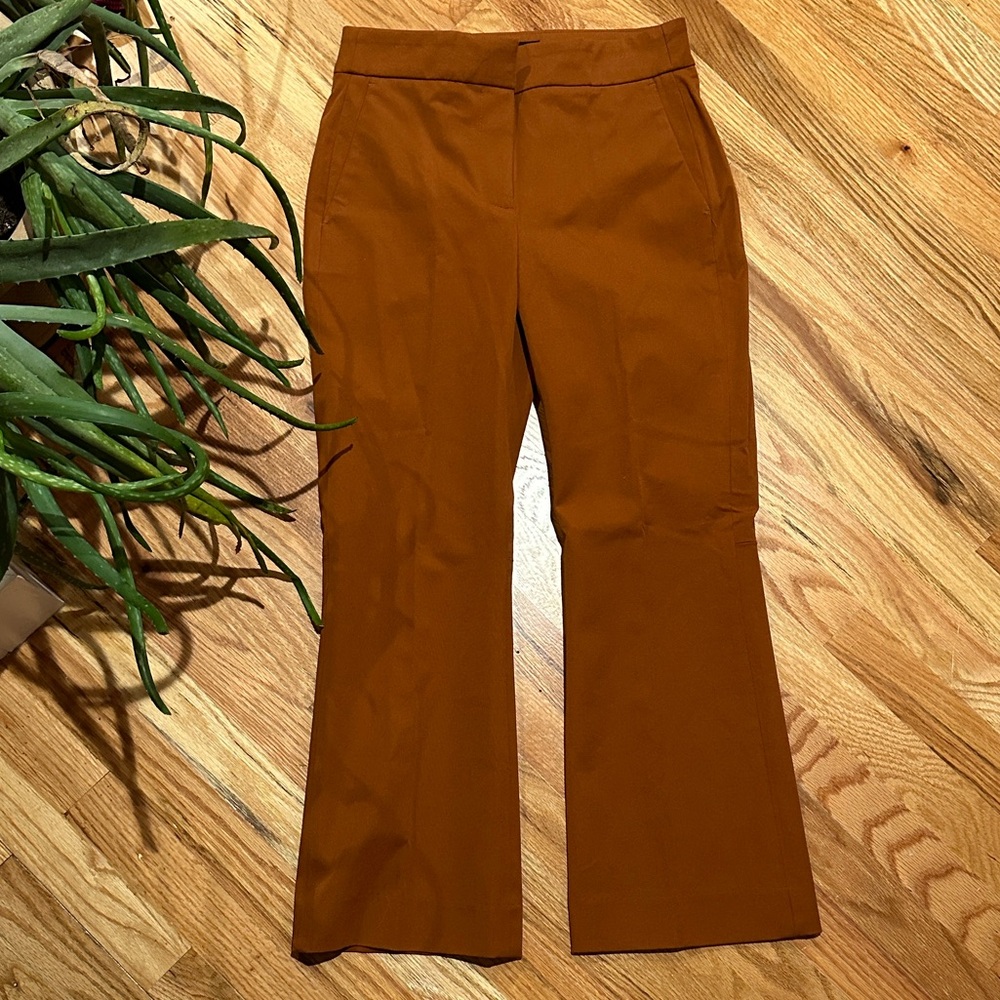 NWT Women's J.CREW Rust Pants